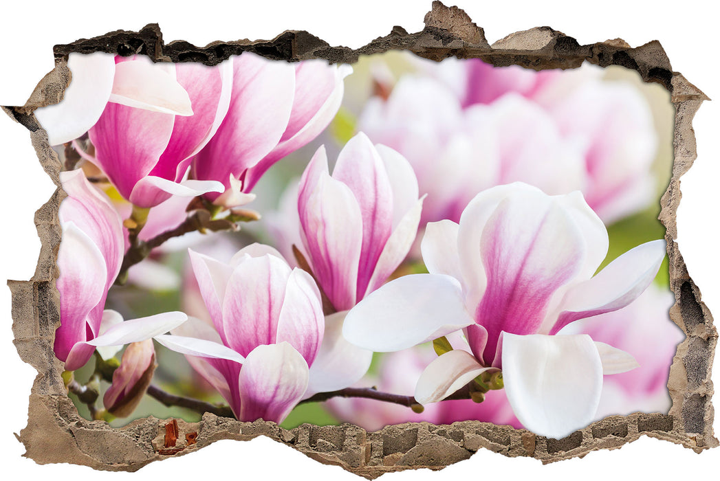 Pixxprint feine rosa farbende Blüte, 3D Wandtattoo