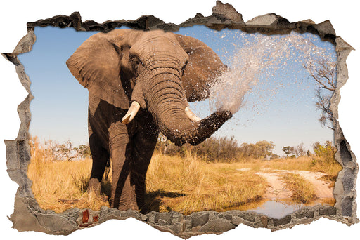 schöner Elefant spritzt mit Wasser  3D Wandtattoo Wanddurchbruch
