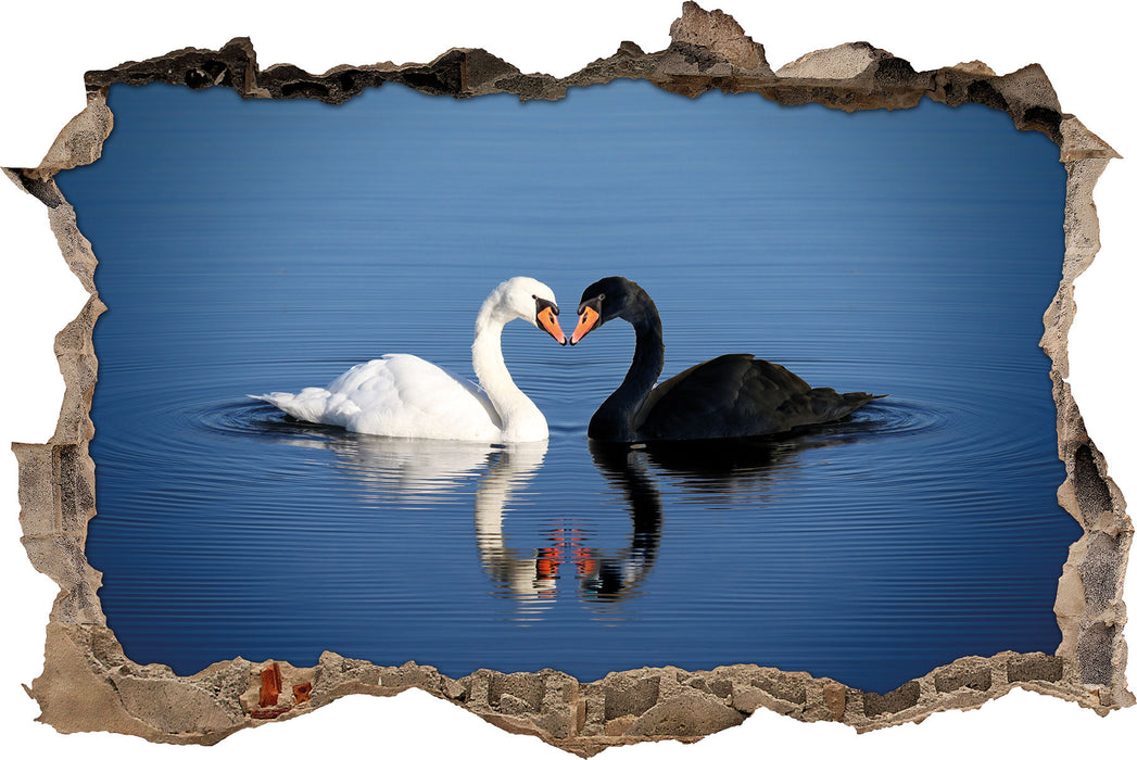 Pixxprint verliebte Schwäne schmusen, 3D Wandtattoo