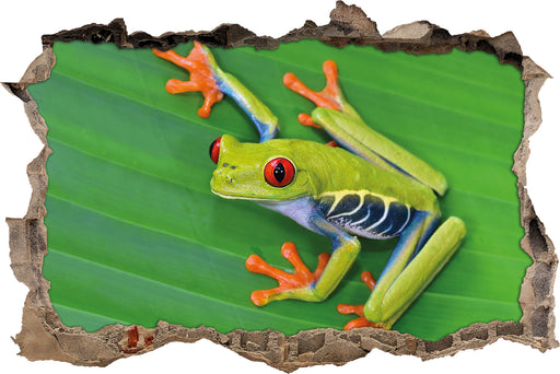 kleiner grüner Frosch auf Blatt  3D Wandtattoo Wanddurchbruch