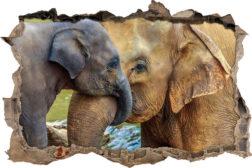 Elefantenmutter mit Kalb  3D Wandtattoo Wanddurchbruch