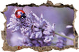 kleiner Marienkäfer auf Lavendel  3D Wandtattoo Wanddurchbruch