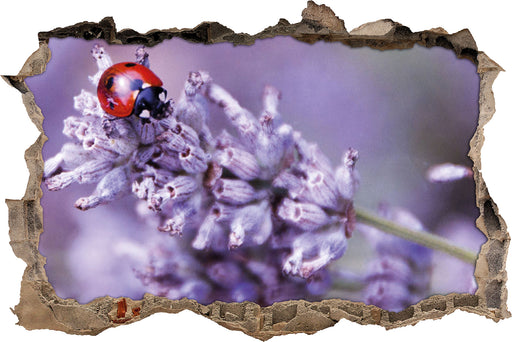 kleiner Marienkäfer auf Lavendel  3D Wandtattoo Wanddurchbruch