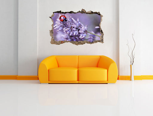 kleiner Marienkäfer auf Lavendel 3D Wandtattoo Wanddurchbruch Wand