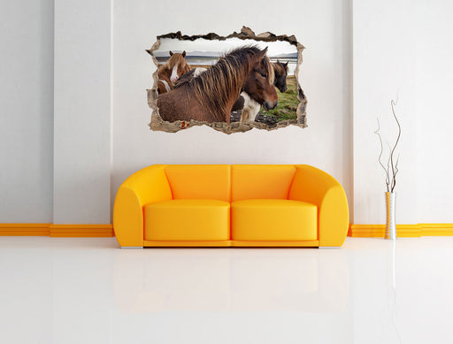 Herde aus schönen Wildpferden 3D Wandtattoo Wanddurchbruch Wand