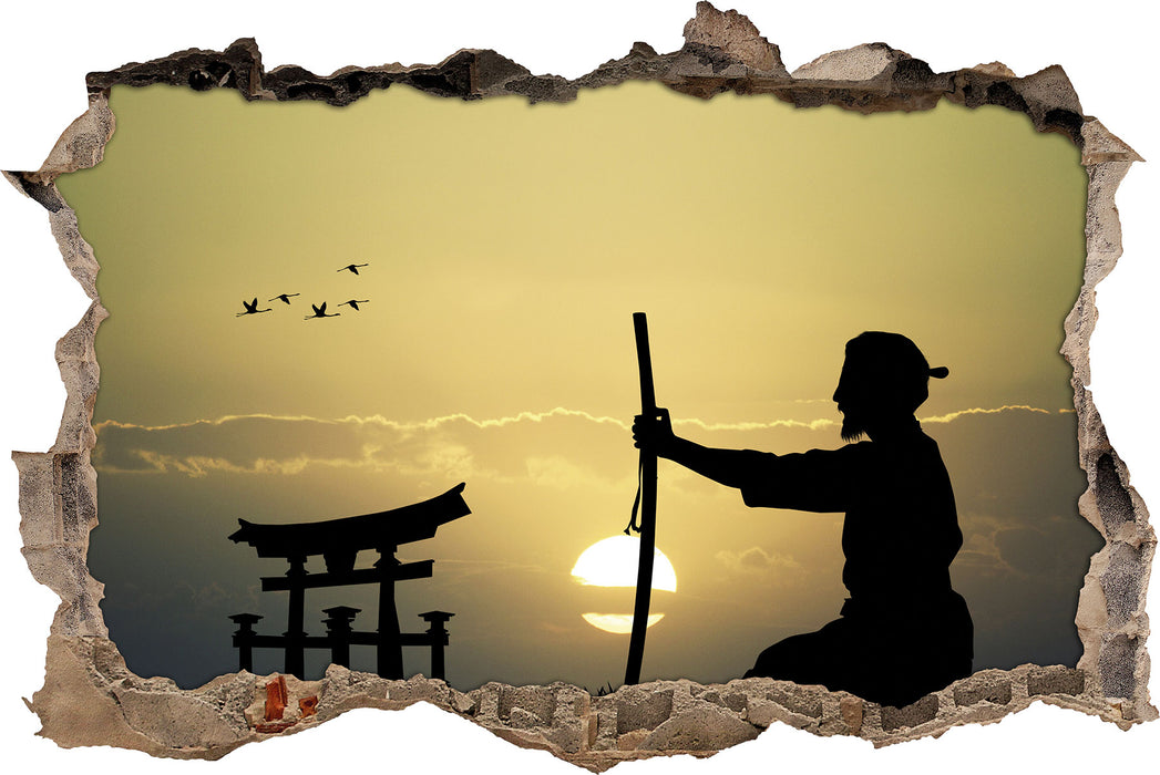 Pixxprint Samurai-Meister vor Horizont, 3D Wandtattoo