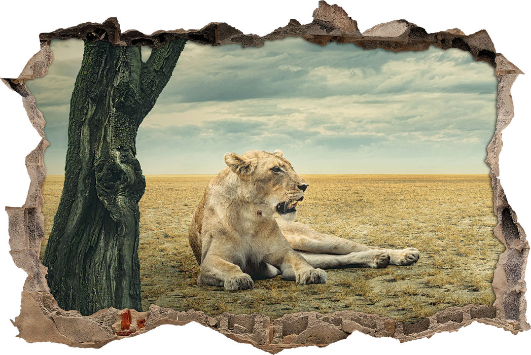 Pixxprint Löwin Ruhe Savanne, 3D Wandtattoo