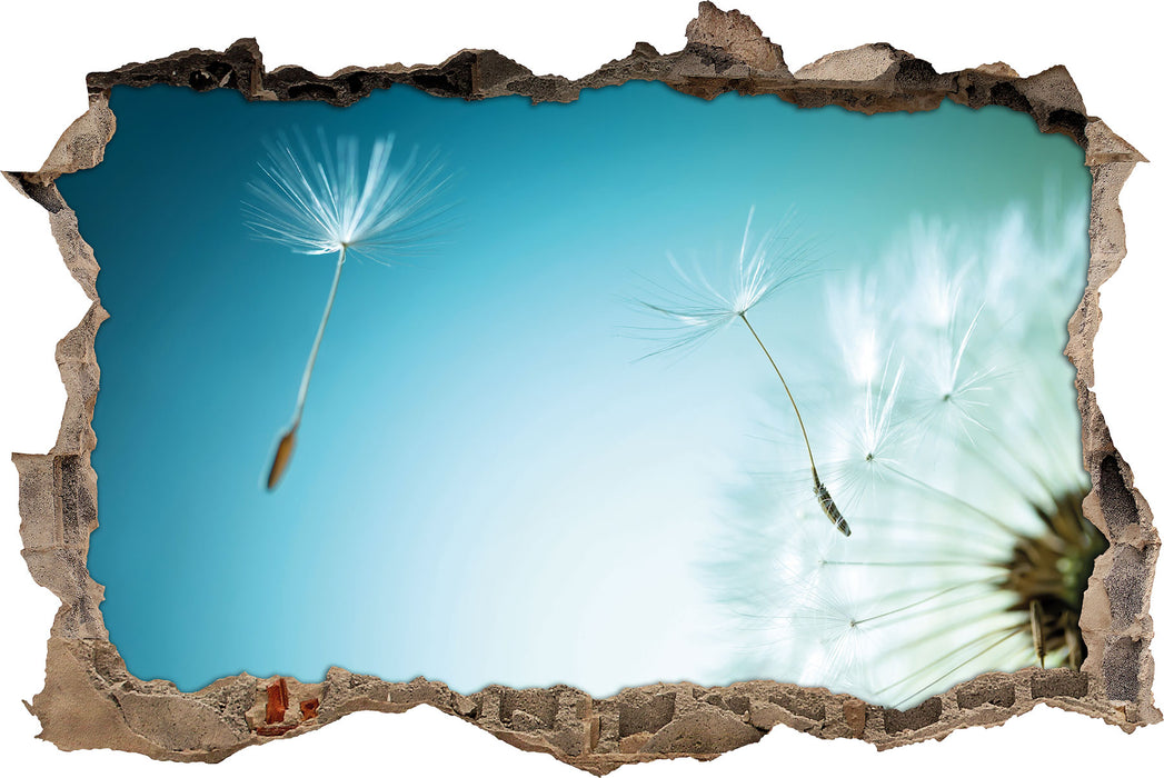 Pixxprint Löwenzahn Pusteblume, 3D Wandtattoo