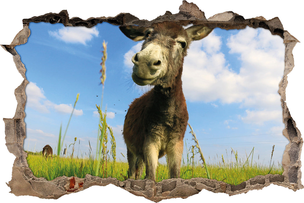 Pixxprint Esel in einem Feld, 3D Wandtattoo