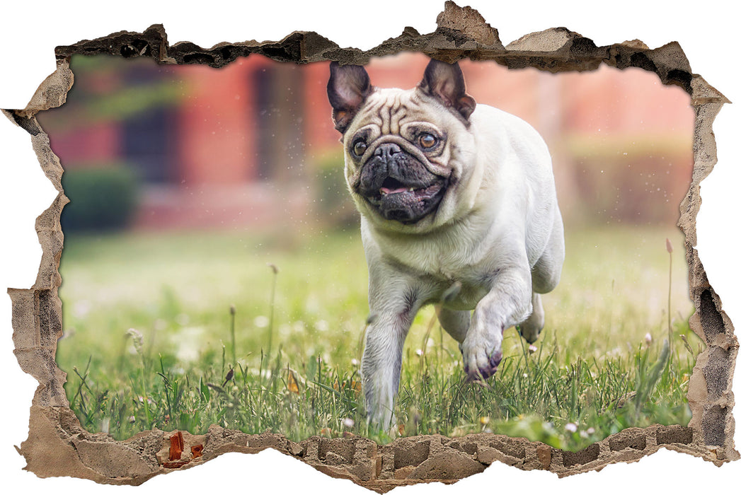 Pixxprint Rennender Mops, 3D Wandtattoo