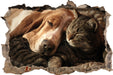 Katze und Hund kuschelnd  3D Wandtattoo Wanddurchbruch