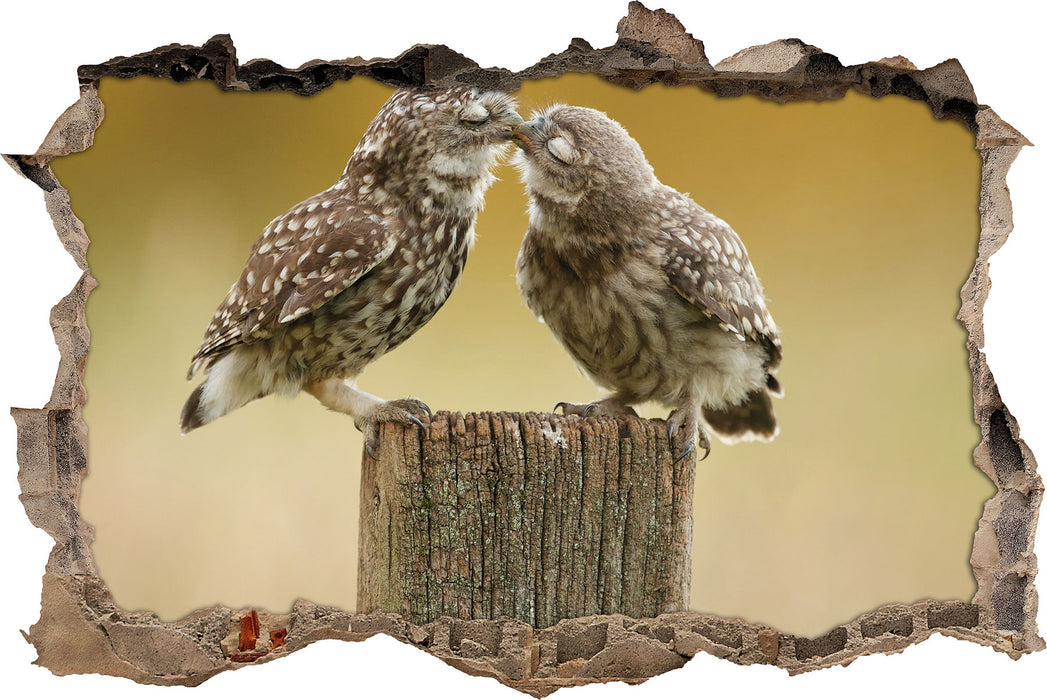 Pixxprint Küssende Eulen, 3D Wandtattoo