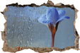 Frühlingsblume mit Tau  3D Wandtattoo Wanddurchbruch
