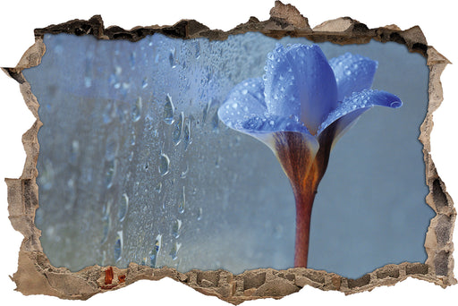 Frühlingsblume mit Tau  3D Wandtattoo Wanddurchbruch