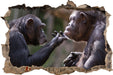 Schimpansen Freundschaft  3D Wandtattoo Wanddurchbruch