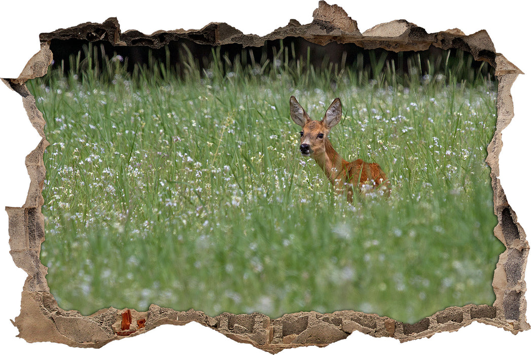 Pixxprint kleines Rehkitz auf Wiese, 3D Wandtattoo