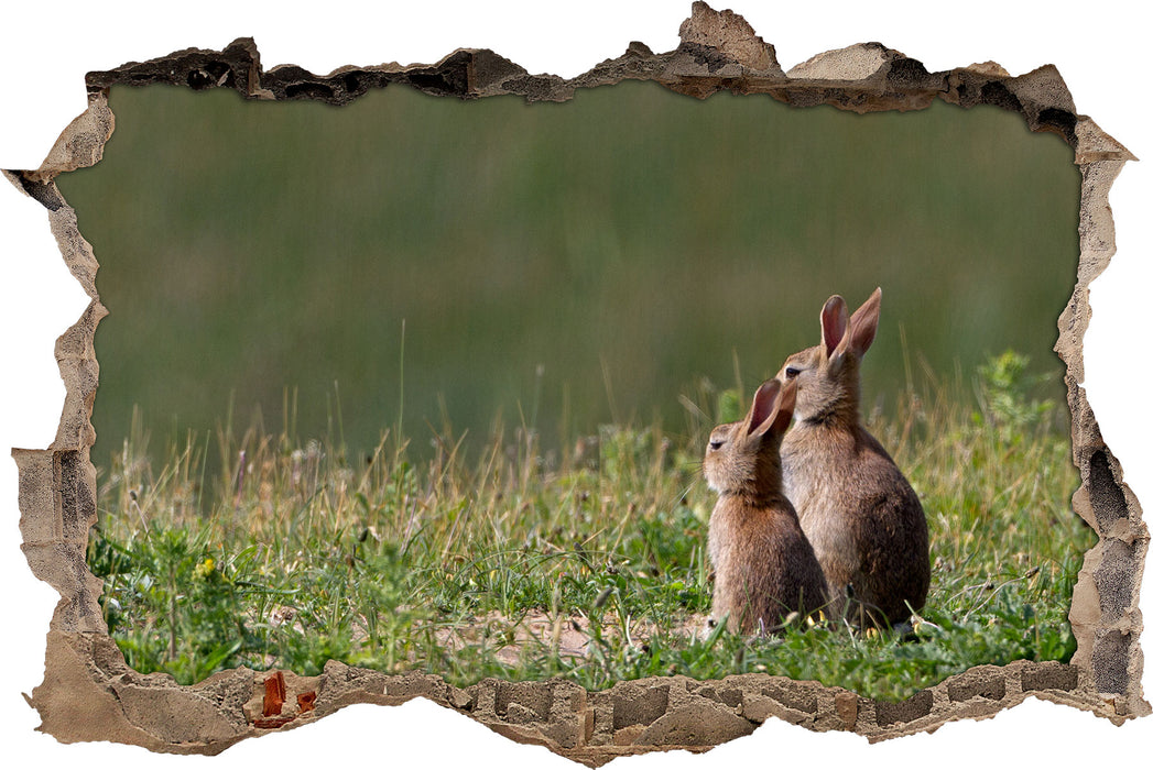Pixxprint zwei Häschen auf Frühlingswiese, 3D Wandtattoo
