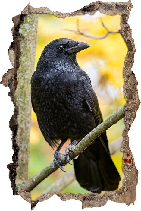 Pixxprint schwarzer Rabe auf Ast, 3D Wandtattoo