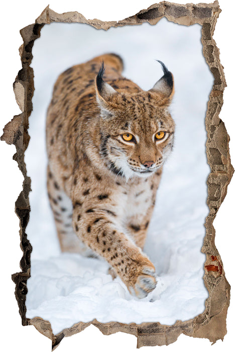 Pixxprint Luchs im Schnee, 3D Wandtattoo