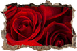 rote Rosen 3D Wandtattoo Wanddurchbruch
