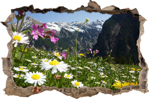 Wunderschöne Blumen Alpenwiese 3D Wandtattoo Wanddurchbruch