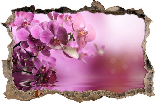 Wunderschöne Orchideenblüten  3D Wandtattoo Wanddurchbruch