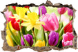 Osterglocken und Tulpen  3D Wandtattoo Wanddurchbruch