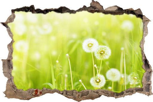 Pusteblumen auf Frühlingswiese  3D Wandtattoo Wanddurchbruch