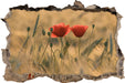 Zwei schöne Mohnblumen 3D Wandtattoo Wanddurchbruch