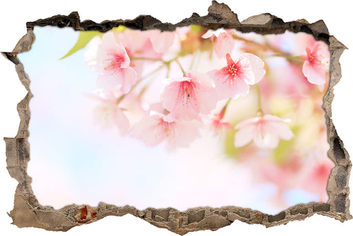 Kirschblüten an Baum 3D Wandtattoo Wanddurchbruch