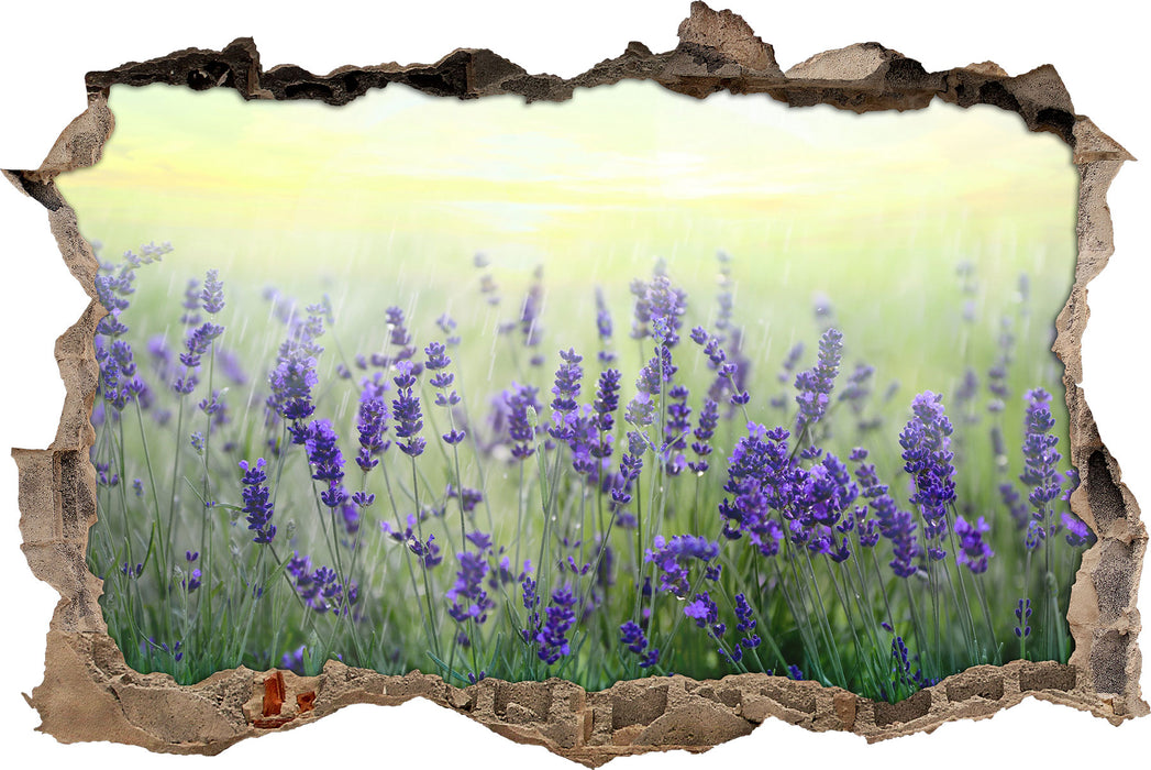 Schöner Lavendel im Regen 3D Wandtattoo Wanddurchbruch