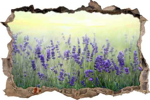 Schöner Lavendel im Regen 3D Wandtattoo Wanddurchbruch