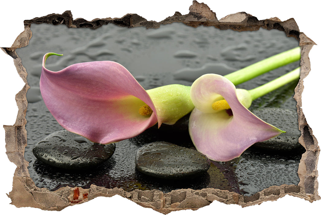 Pixxprint Rosa Callas im Regen, 3D Wandtattoo