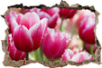 Tulpen mit Morgentau 3D Wandtattoo Wanddurchbruch