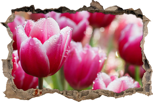 Tulpen mit Morgentau 3D Wandtattoo Wanddurchbruch