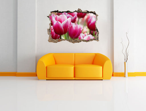 Tulpen mit Morgentau 3D Wandtattoo Wanddurchbruch Wand