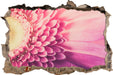 Wunderschöne Gerbera Blüte  3D Wandtattoo Wanddurchbruch