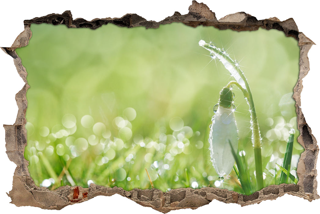 Pixxprint Schneeglöckchen auf Frühlingswiese, 3D Wandtattoo