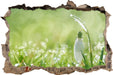 Schneeglöckchen auf Frühlingswiese  3D Wandtattoo Wanddurchbruch