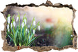Schneeglöckchen am Waldrand  3D Wandtattoo Wanddurchbruch