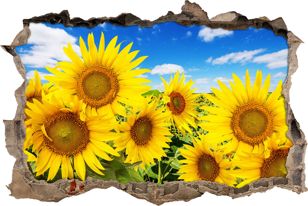 Pixxprint Sonnenblumenwiese unter Himmel, 3D Wandtattoo