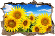 Sonnenblumenwiese unter Himmel  3D Wandtattoo Wanddurchbruch