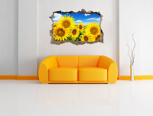 Sonnenblumenwiese unter Himmel 3D Wandtattoo Wanddurchbruch Wand