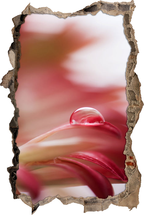 Regentropfen auf rosa Blütenblatt  3D Wandtattoo Wanddurchbruch