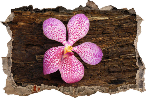 Orchidee Blüte auf Rinde  3D Wandtattoo Wanddurchbruch