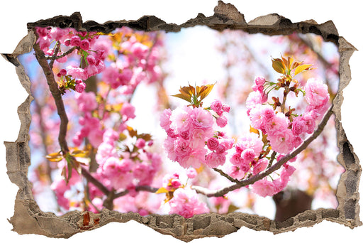 Schöne Kirschblüten  3D Wandtattoo Wanddurchbruch