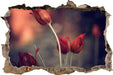 Tulpen im Abendlicht  3D Wandtattoo Wanddurchbruch