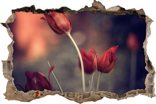 Tulpen im Abendlicht  3D Wandtattoo Wanddurchbruch