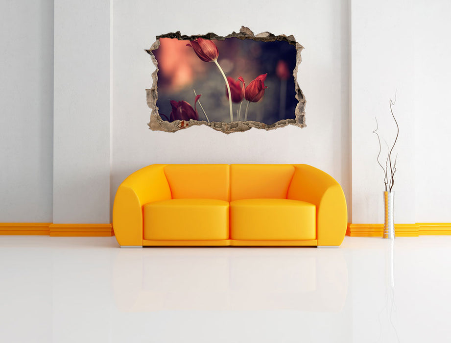 Tulpen im Abendlicht 3D Wandtattoo Wanddurchbruch Wand