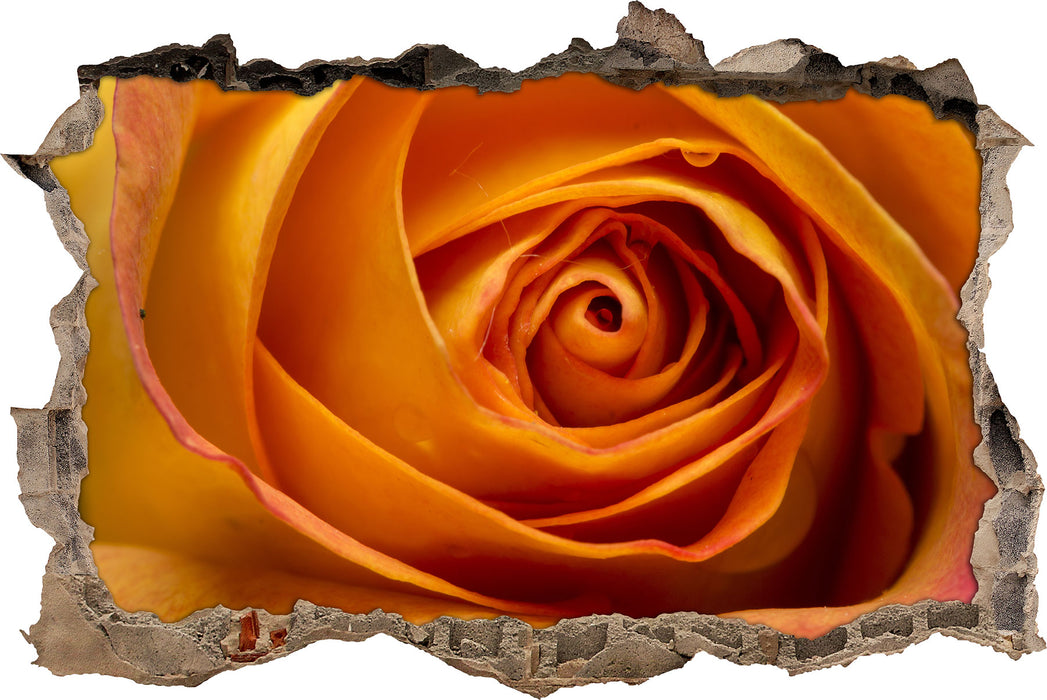 Pixxprint Anmutige gelbe geschlossene Rose, 3D Wandtattoo